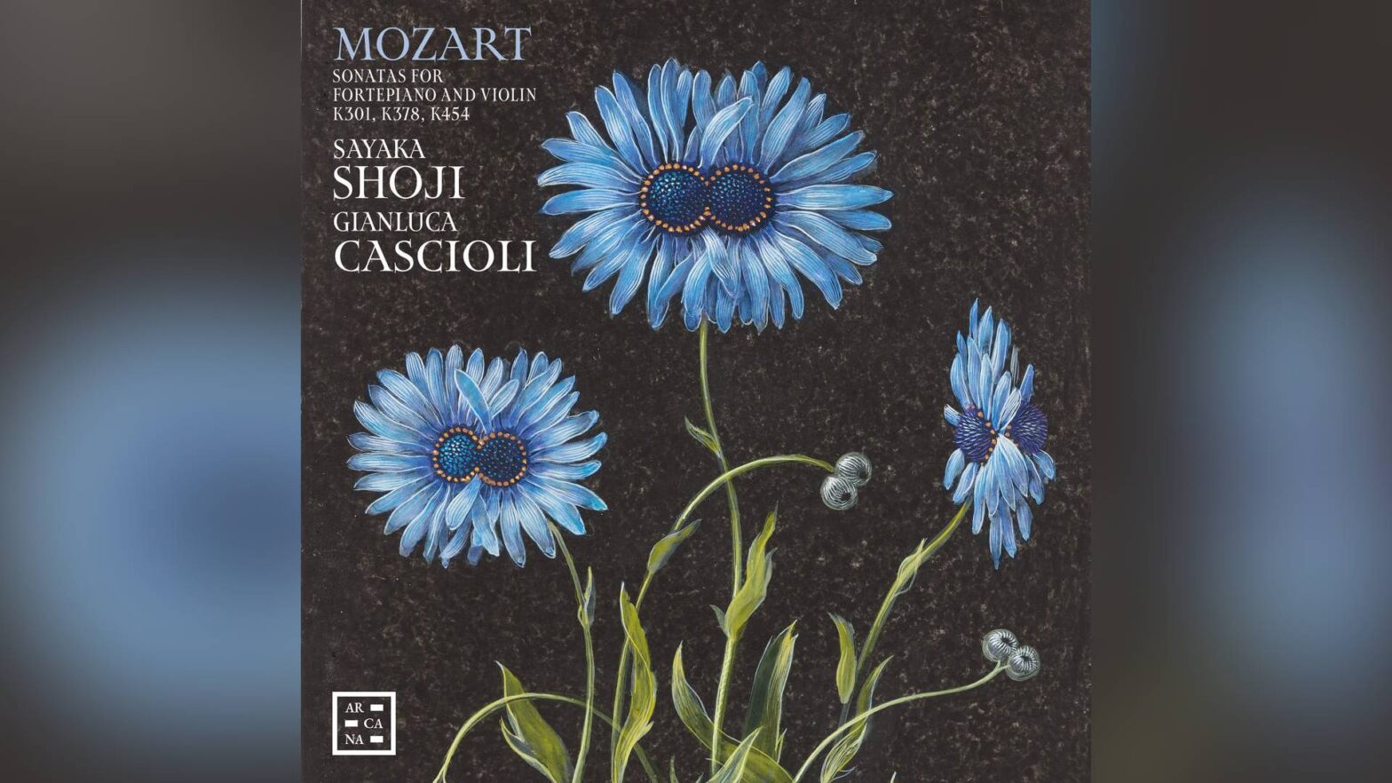Mozart sonate Shoji Cascioli